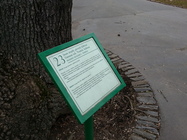 Samsung Galaxy S III