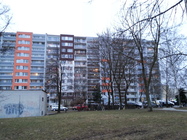 Samsung Galaxy S III