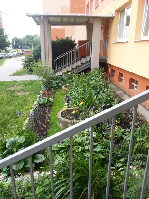 Samsung Galaxy S III