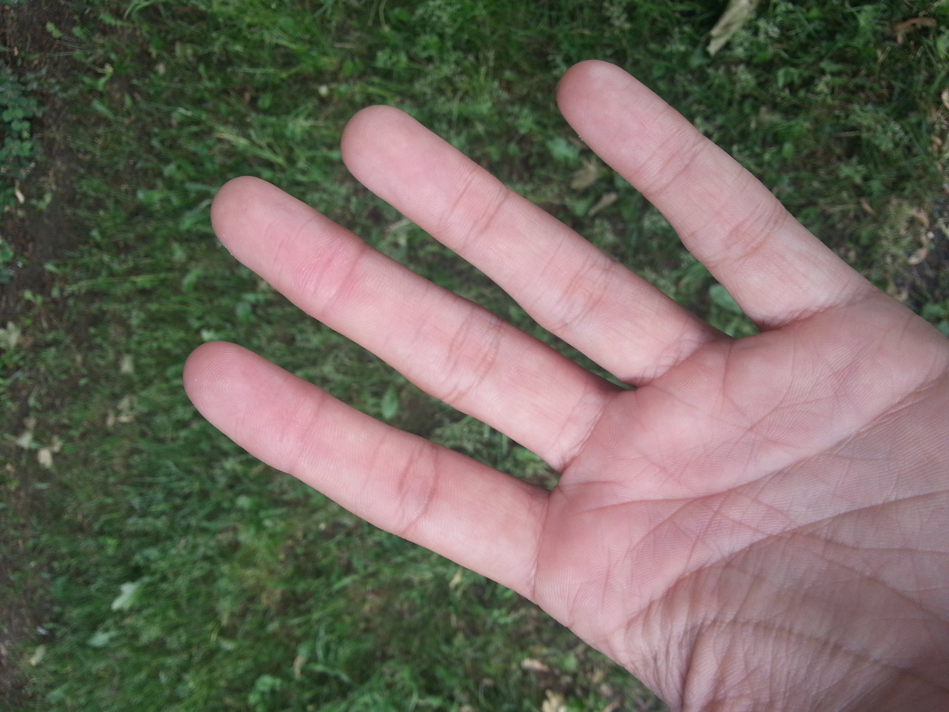 Samsung Galaxy S III