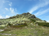 Samsung Galaxy S III