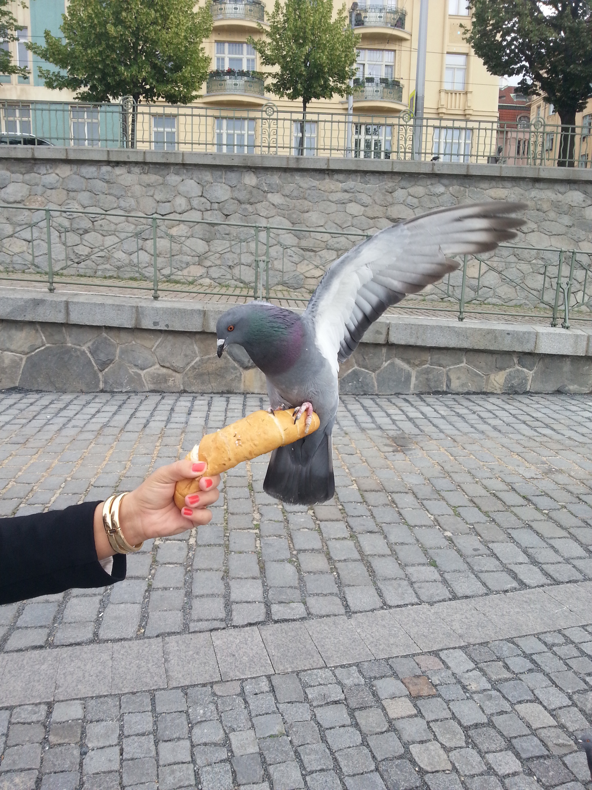 Samsung Galaxy S III