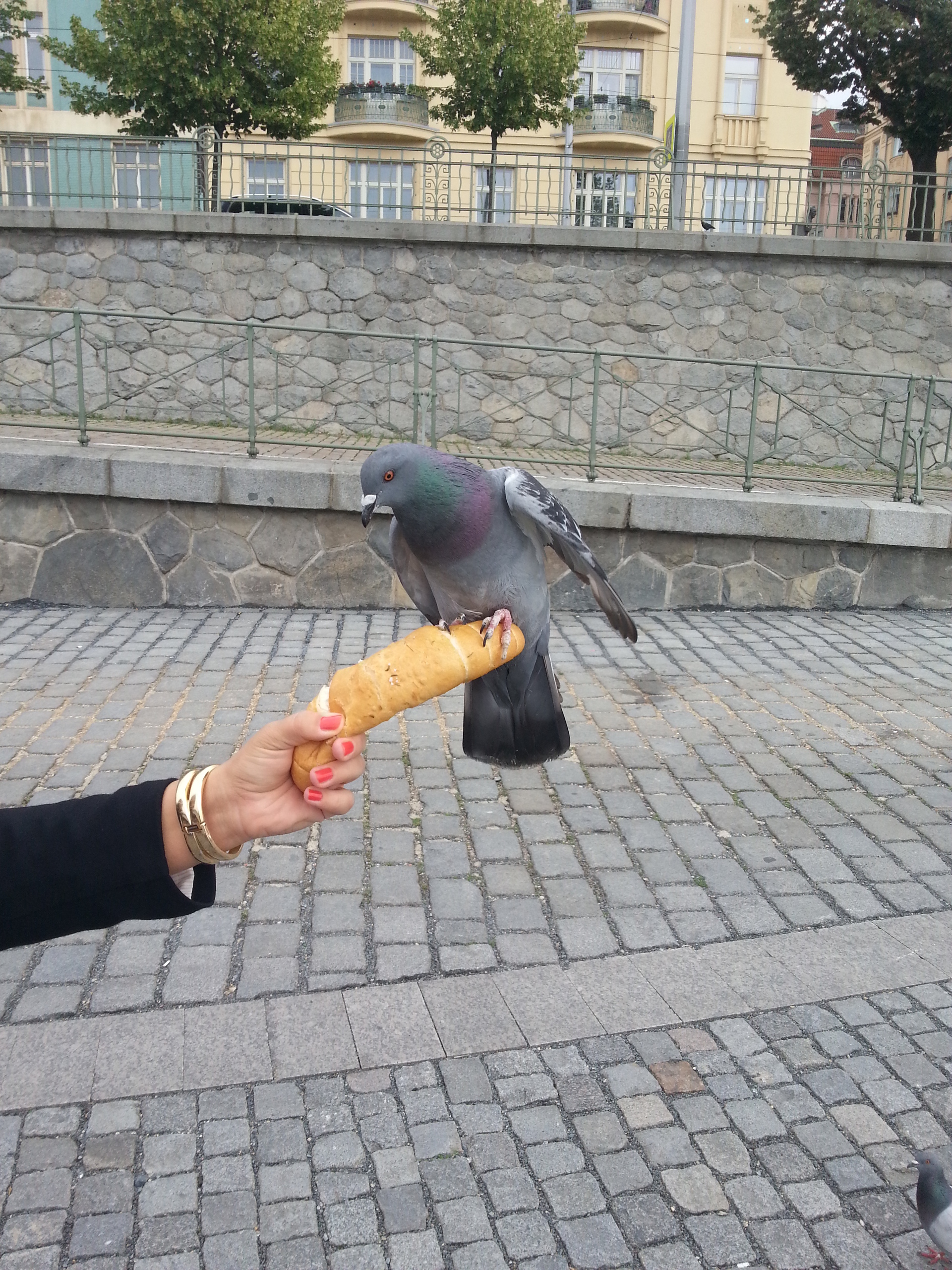 Samsung Galaxy S III