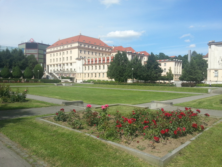 Samsung Galaxy S III