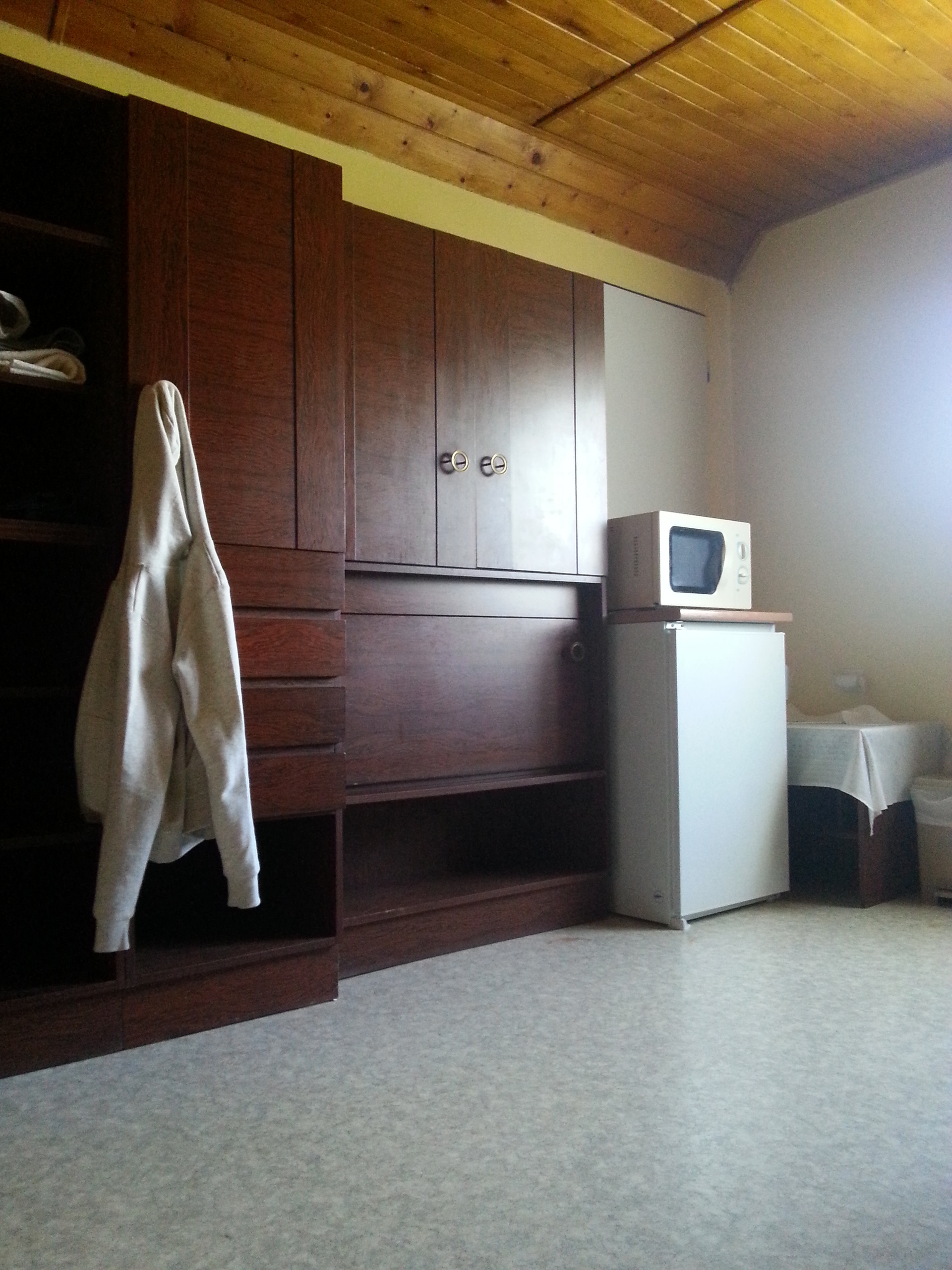 Samsung Galaxy S III