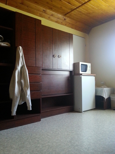 Samsung Galaxy S III