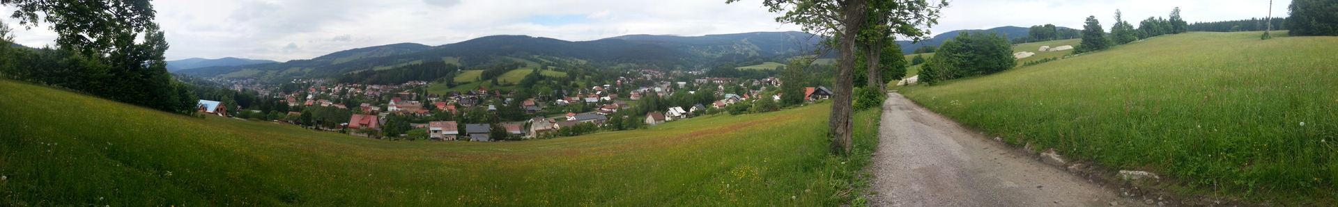 Samsung Galaxy S III