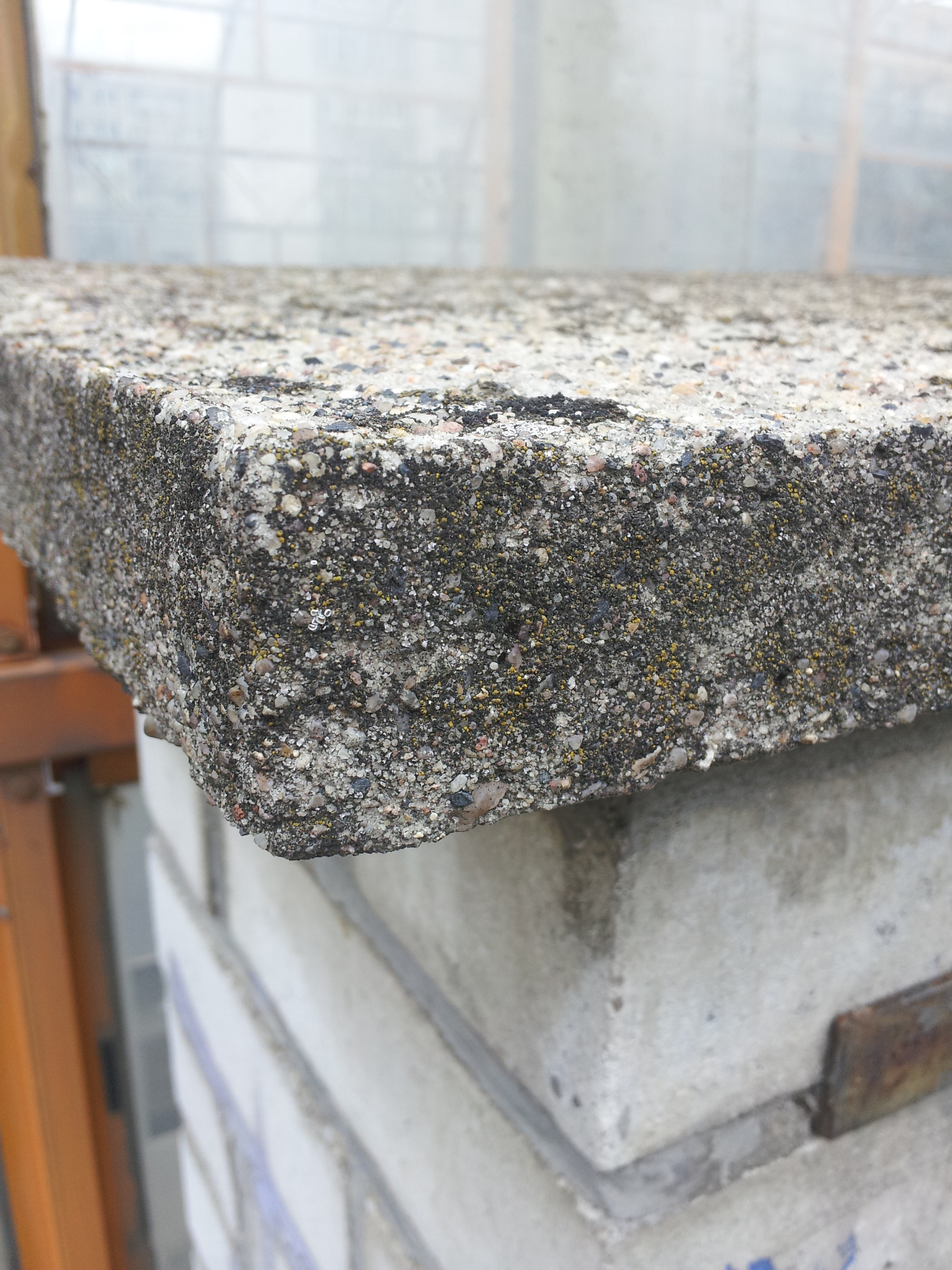 Samsung Galaxy S III