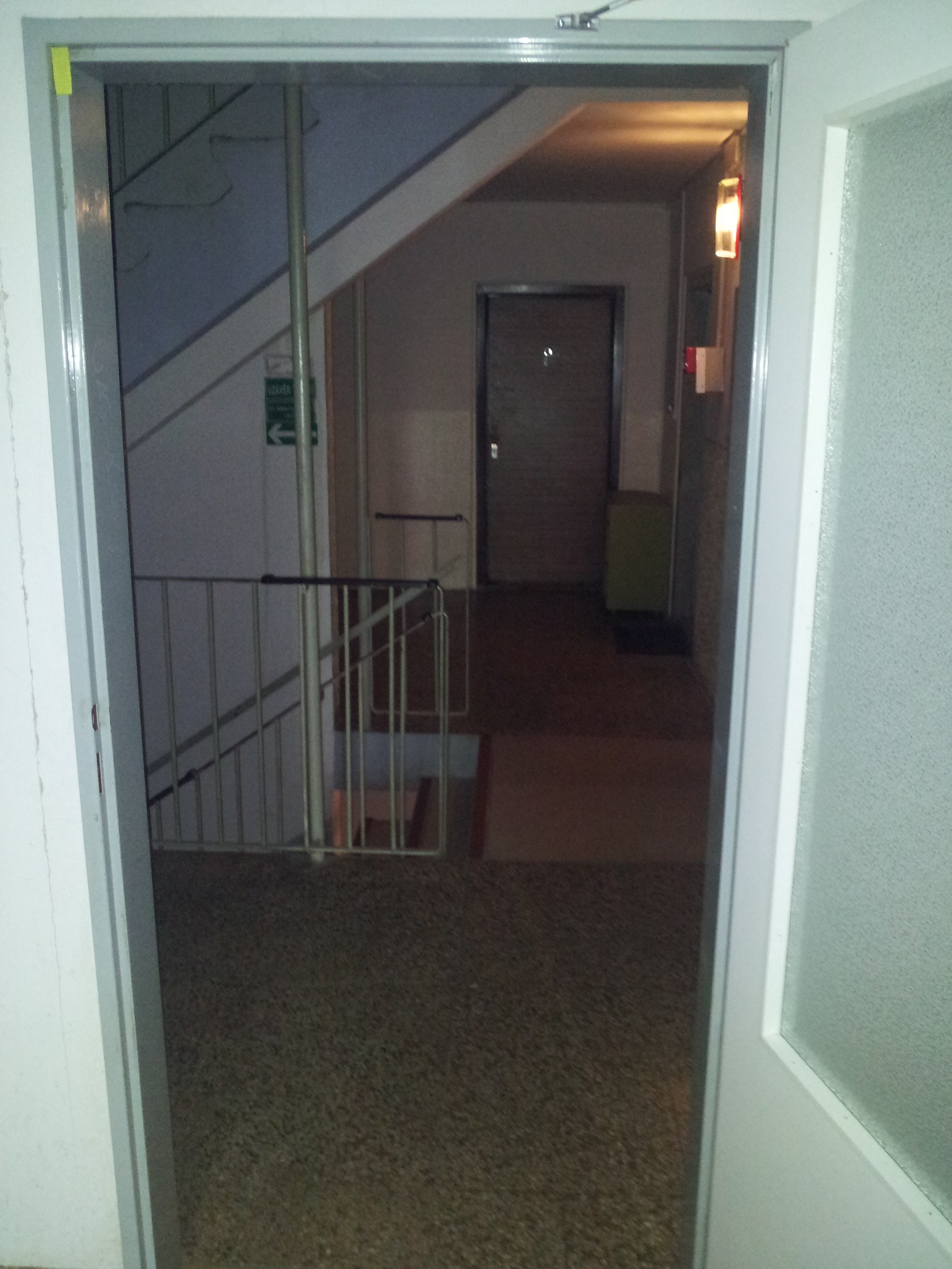 Samsung Galaxy S III