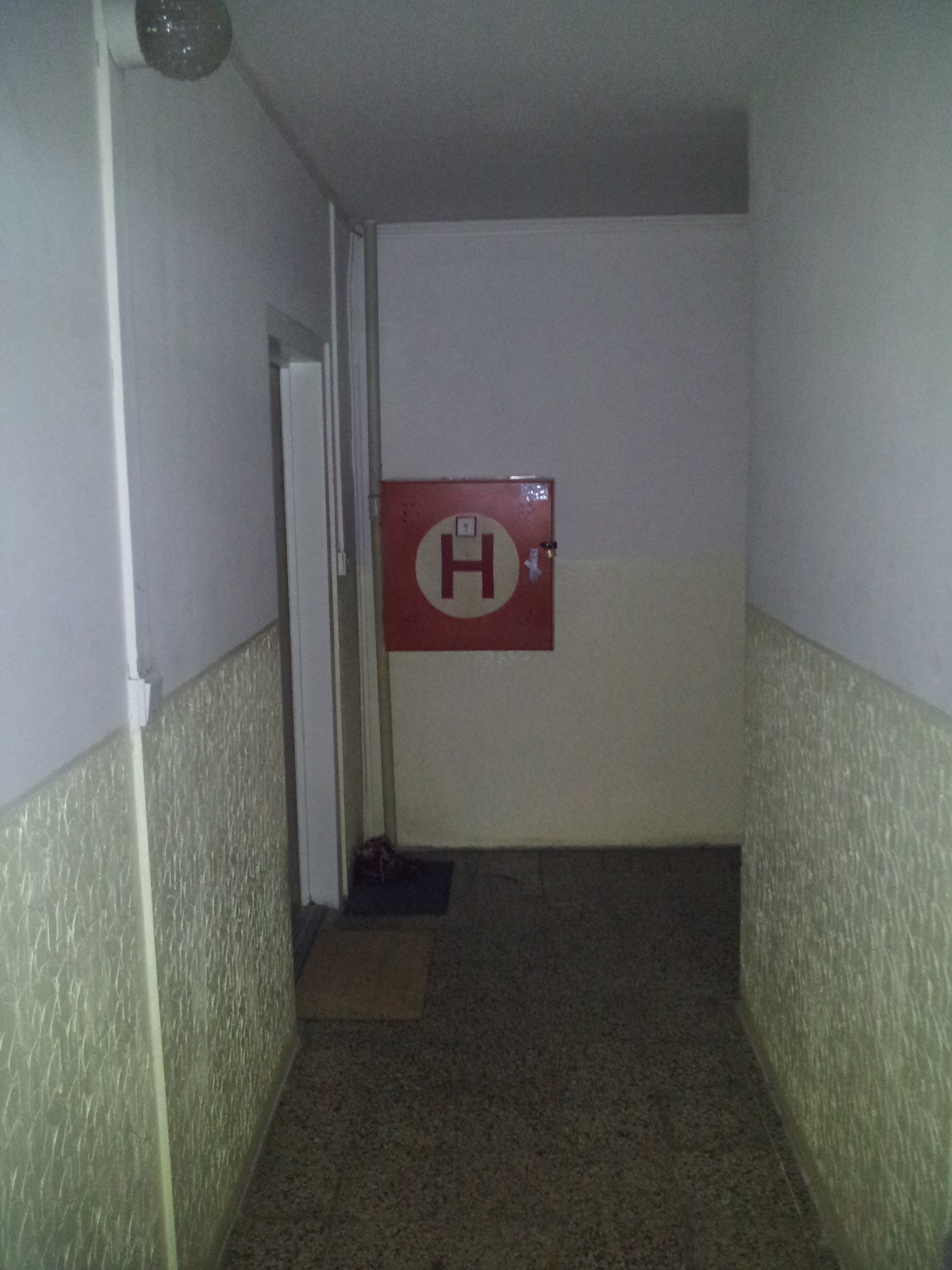 Samsung Galaxy S III