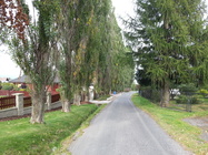 Samsung Galaxy S III