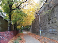 Samsung Galaxy S III