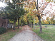 Samsung Galaxy S III