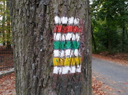 Samsung Galaxy S III