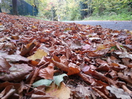 Samsung Galaxy S III