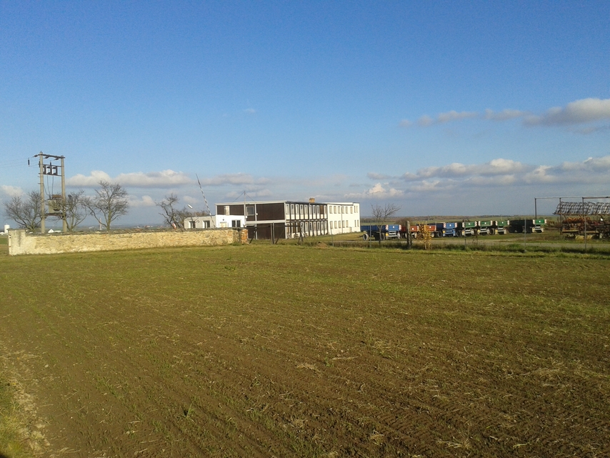 Samsung Galaxy S III mini