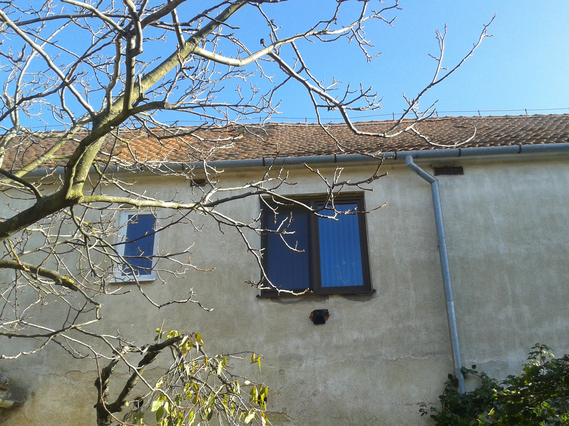 Samsung Galaxy S III mini