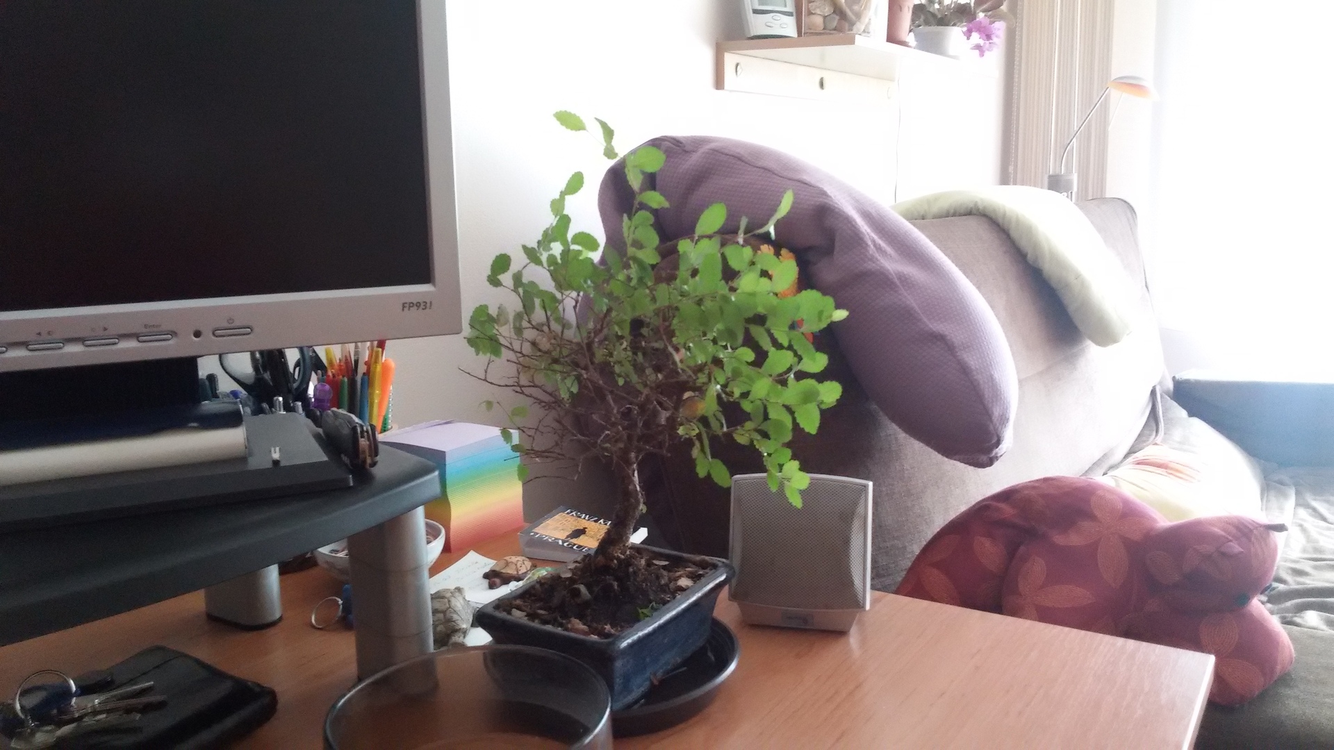 Samsung Galaxy S III Neo