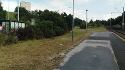 Samsung Galaxy S III Neo