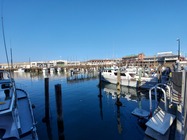 Samsung Galaxy S10 Lite