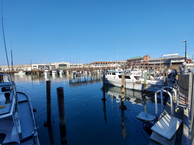 Samsung Galaxy S10 Lite