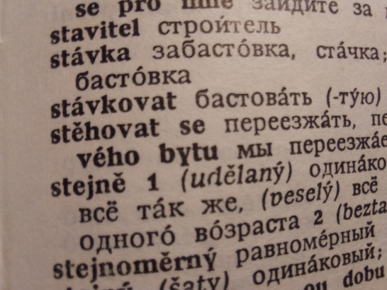 Samsung Galaxy S10 Lite