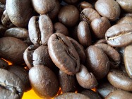 Samsung Galaxy S10 Lite