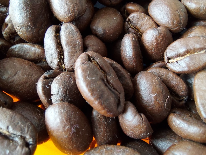 Samsung Galaxy S10 Lite