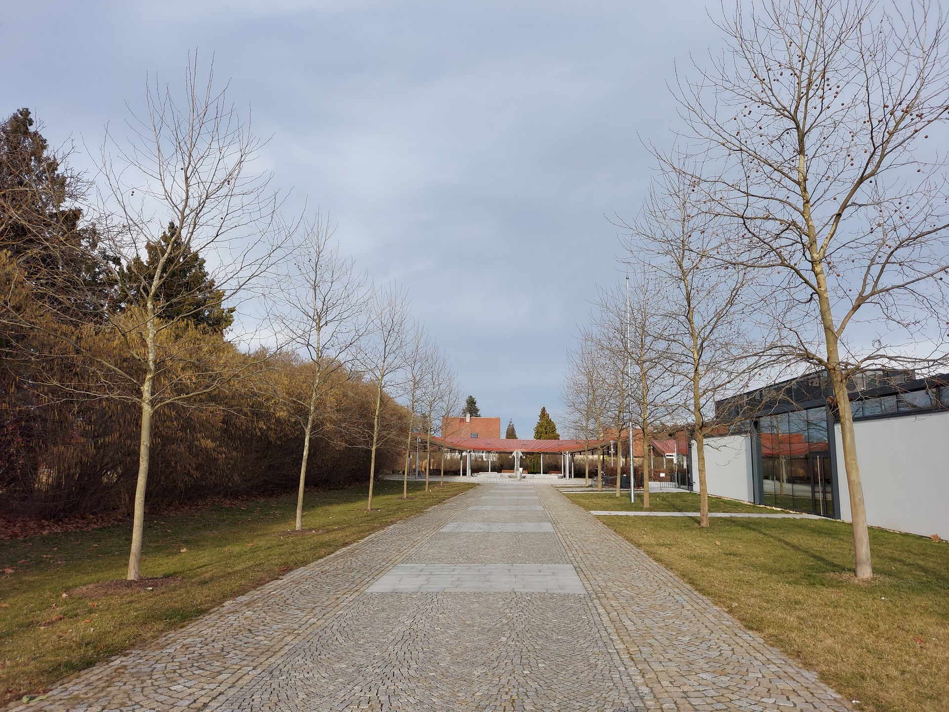 Samsung Galaxy S10 Lite