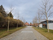 Samsung Galaxy S10 Lite