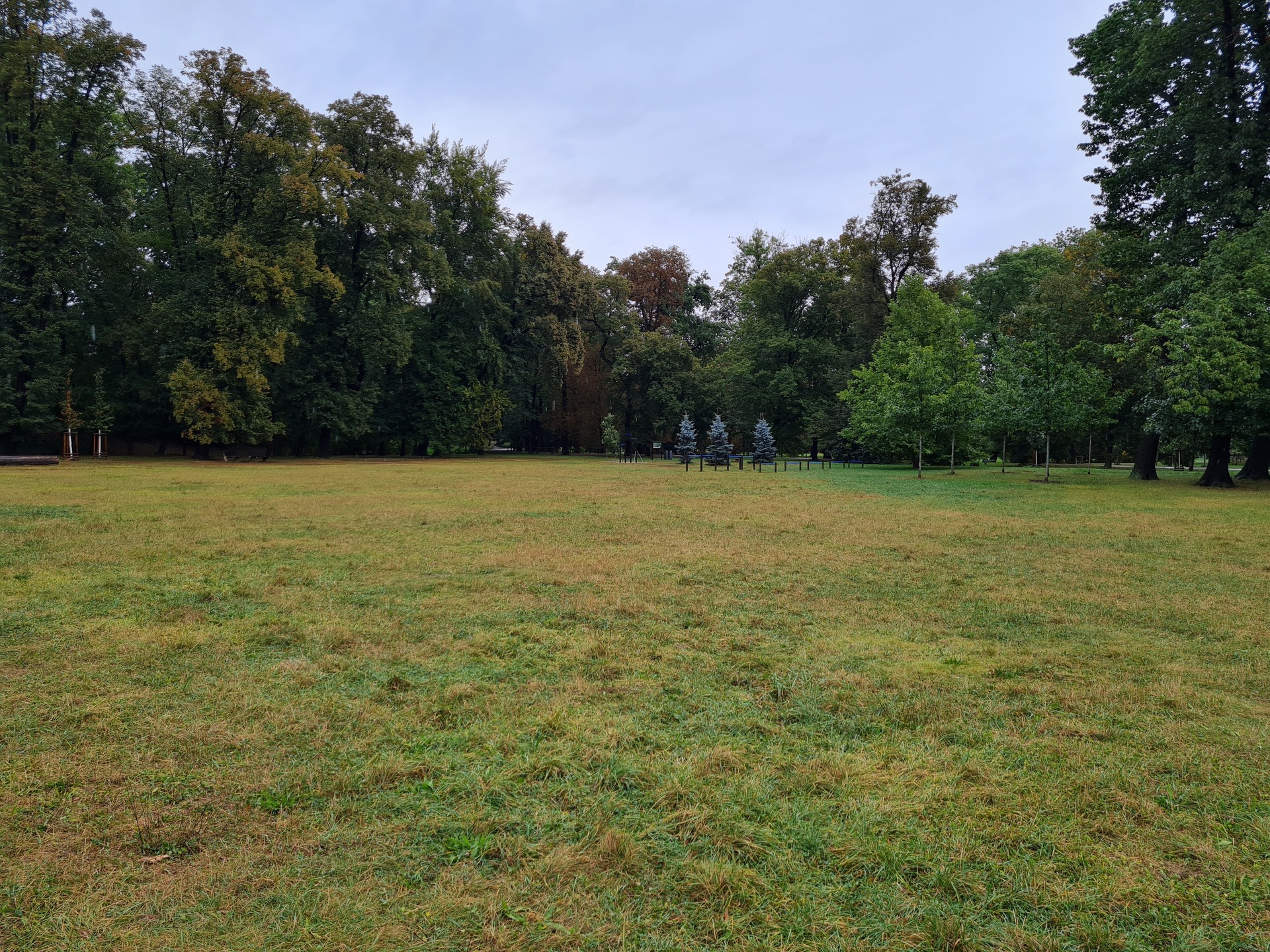 Samsung Galaxy S20 FE