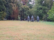 Samsung Galaxy S20 FE