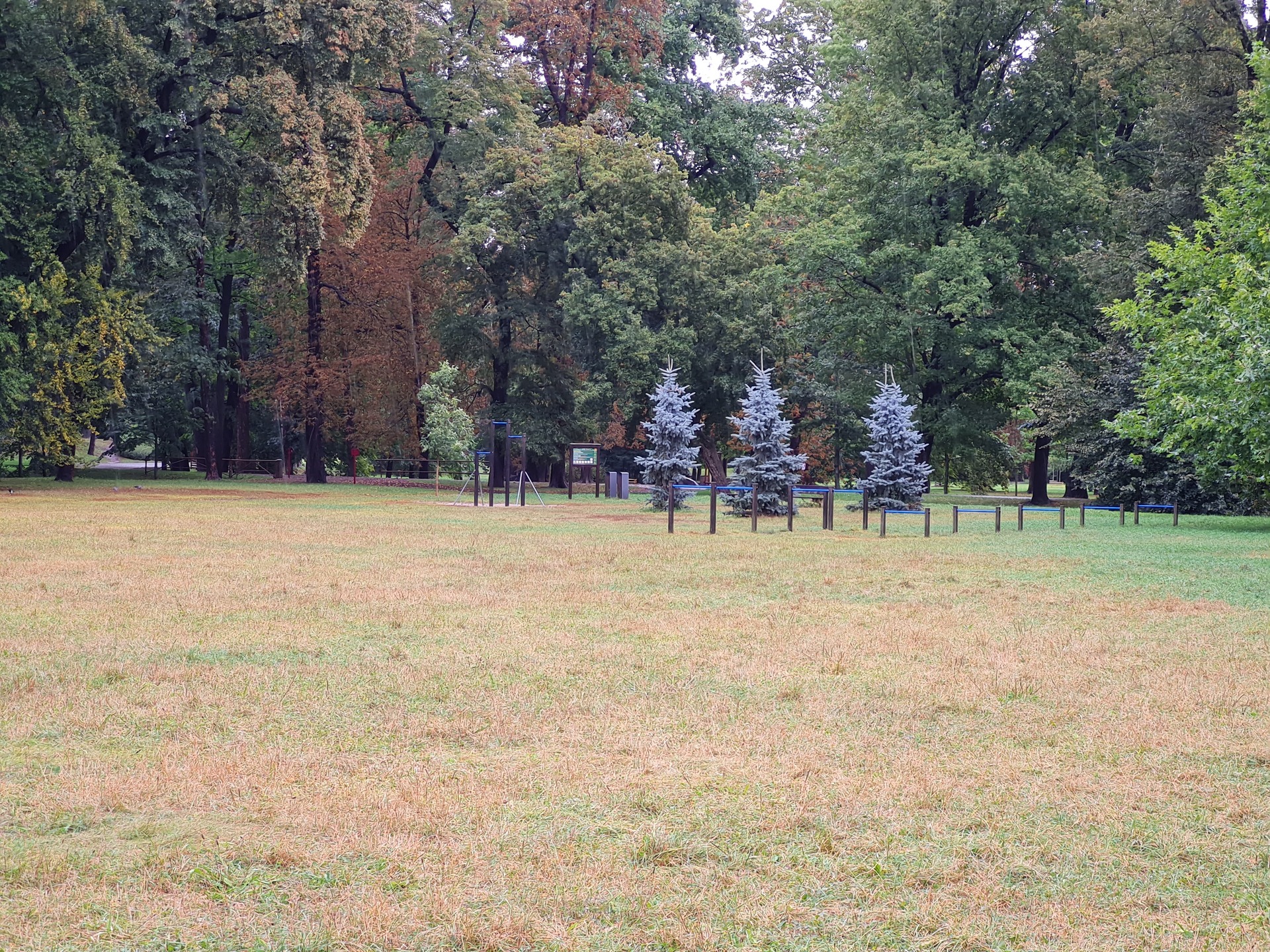 Samsung Galaxy S20 FE