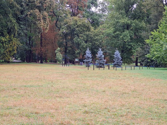 Samsung Galaxy S20 FE