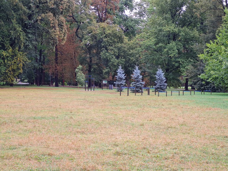 Samsung Galaxy S20 FE