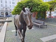 Samsung Galaxy S20 FE