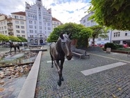 Samsung Galaxy S20 FE