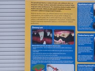 Samsung Galaxy S20 Ultra 5G