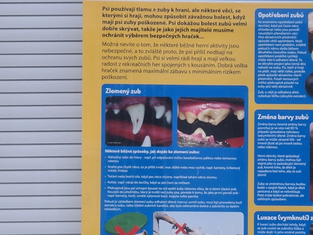 Samsung Galaxy S20 Ultra 5G