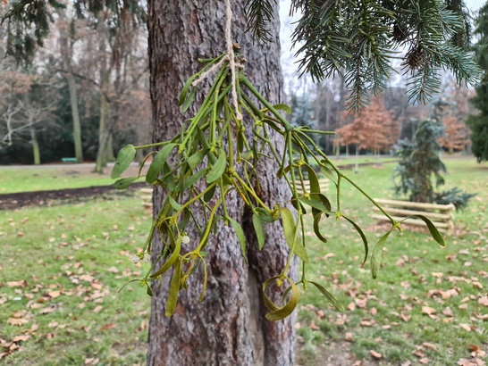 Samsung Galaxy S20 Ultra 5G