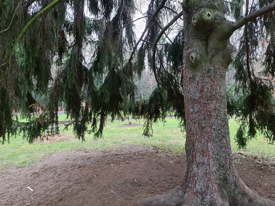 Samsung Galaxy S20 Ultra 5G