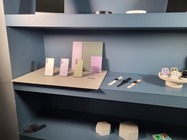 Samsung Galaxy S21 FE