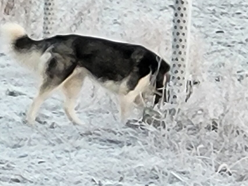 Samsung Galaxy S21 FE