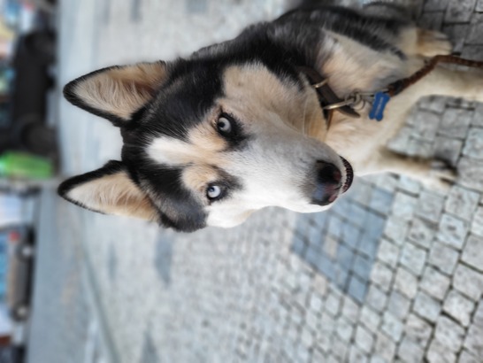 Samsung Galaxy S21 FE