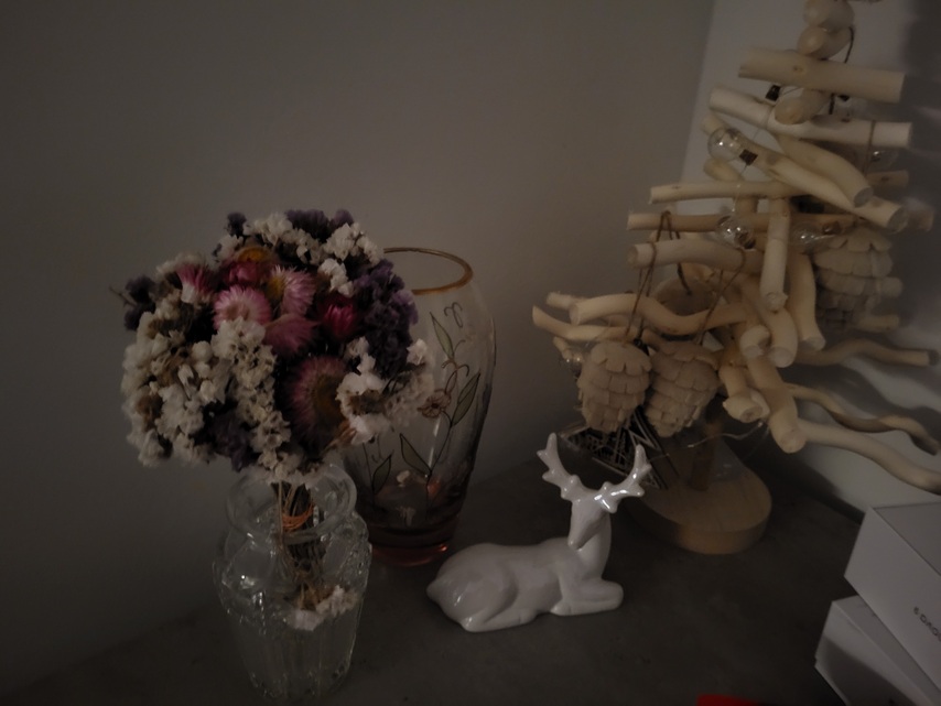 Samsung Galaxy S21 FE