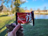 Samsung Galaxy S21 FE