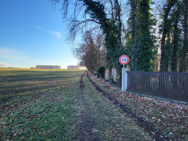 Samsung Galaxy S21 FE