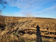 Samsung Galaxy S21 FE