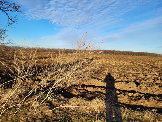 Samsung Galaxy S21 FE