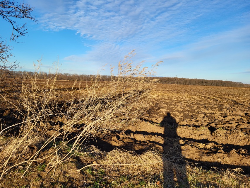 Samsung Galaxy S21 FE